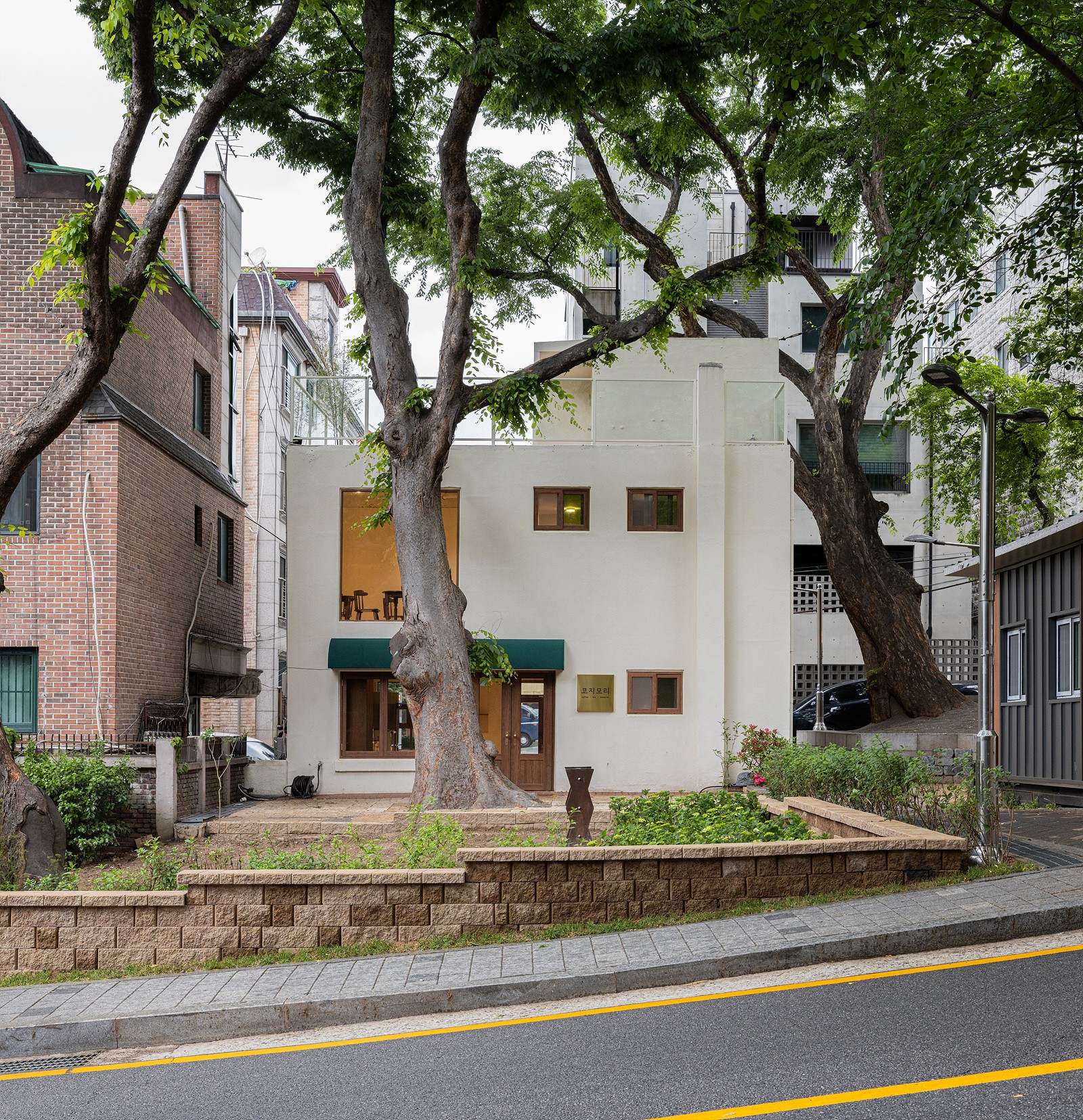 큰 나무 사이로 보이는 코지모리의 외관